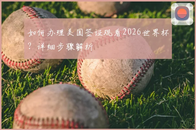 如何办理美国签证观看2026世界杯?详细步骤解析