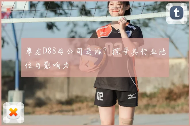 尊龙D88母公司是谁？探寻其行业地位与影响力